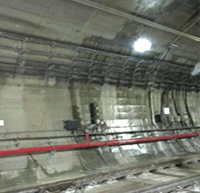 首页- 不朽情缘电子游戏官网