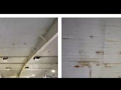 首页- 不朽情缘电子游戏官网