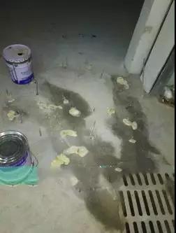首页- 不朽情缘电子游戏官网