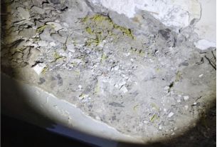 首页- 不朽情缘电子游戏官网