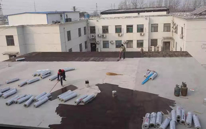 首页- 不朽情缘电子游戏官网