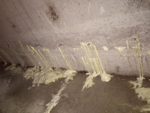 首页- 不朽情缘电子游戏官网
