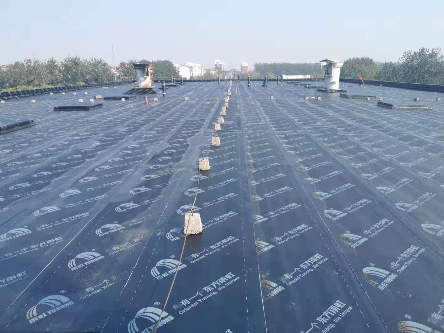 首页- 不朽情缘电子游戏官网
