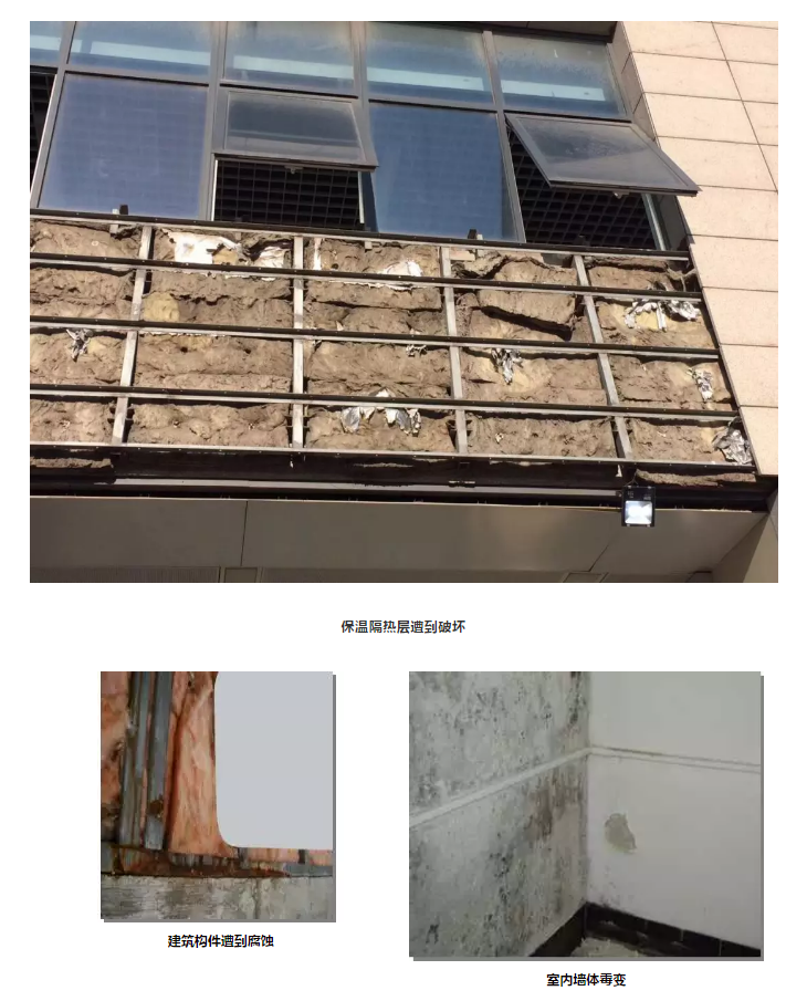 首页- 不朽情缘电子游戏官网