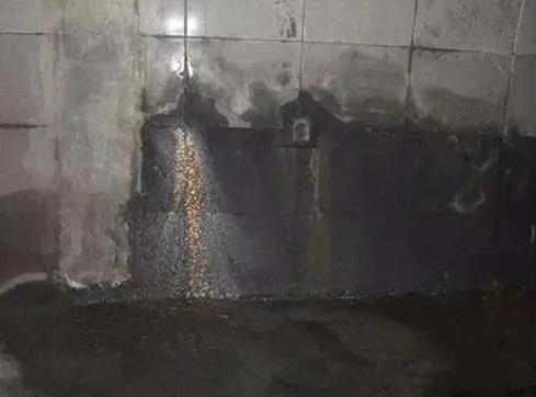 首页- 不朽情缘电子游戏官网