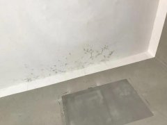 首页- 不朽情缘电子游戏官网