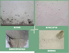 首页- 不朽情缘电子游戏官网