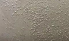 首页- 不朽情缘电子游戏官网