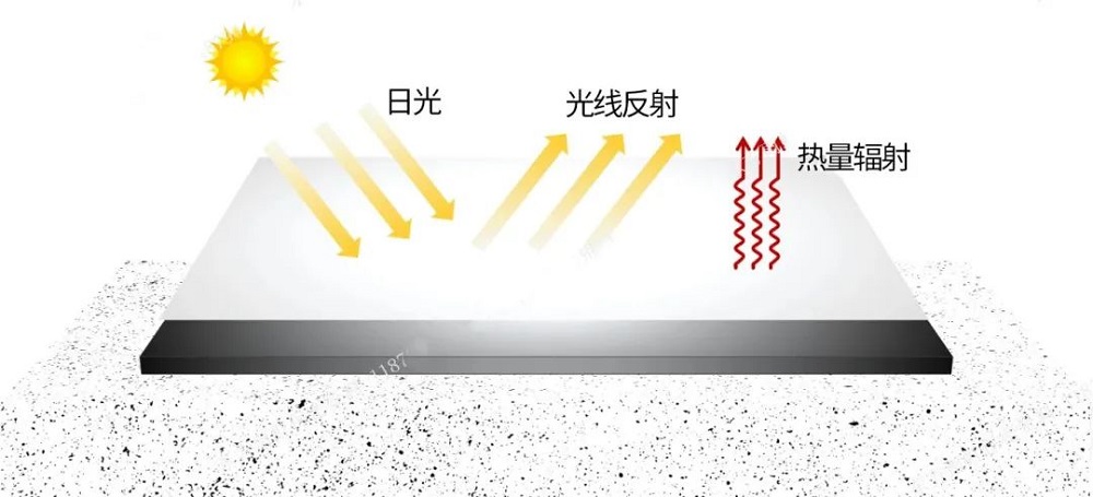 首页- 不朽情缘电子游戏官网