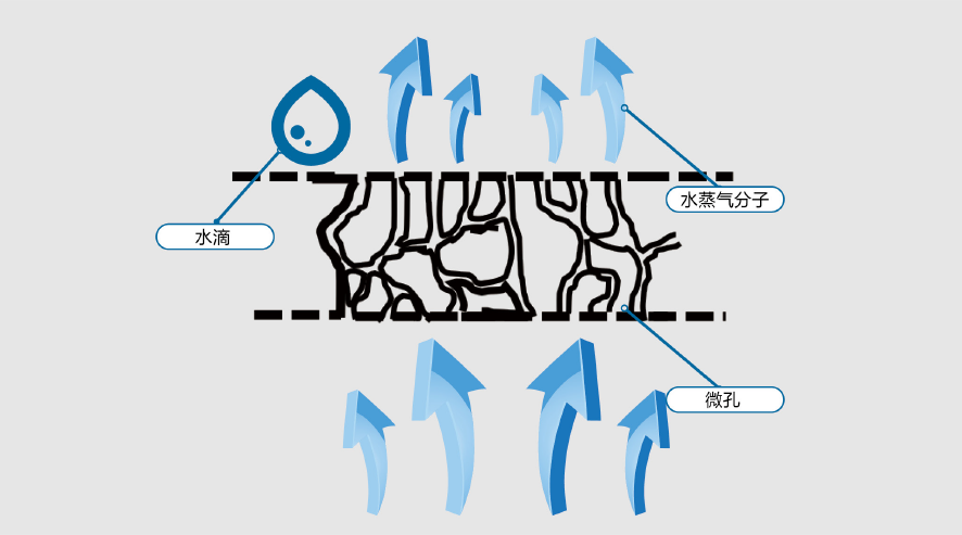 首页- 不朽情缘电子游戏官网